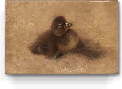 eendenkuiken - Bruno Liljefors - 30 x 19,5 cm - Niet van echt te onderscheiden schilderijtje op hout - Mooier dan een print op canvas - Laqueprint.