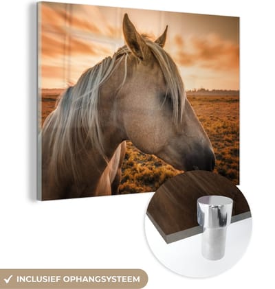 MuchoWow® Glasschilderij 40x30 cm - Schilderij acrylglas - Paard - Dieren - Portret - Foto op glas - Schilderijen