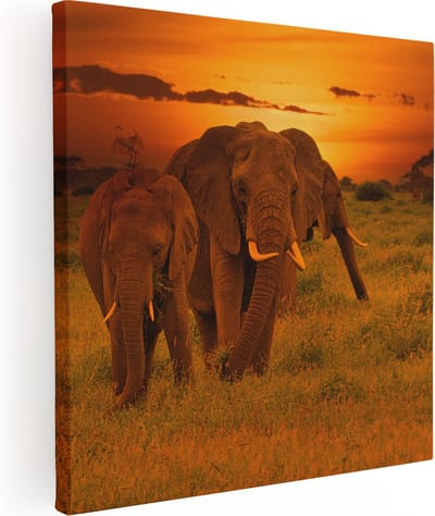 Artaza Canvas Schilderij Olifant - 80x80 cm - Wanddecoratie Dieren - Muurdecoratie Afrika - Schilderijen Op Canvas