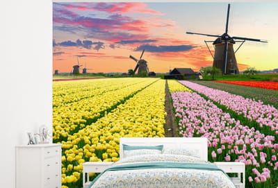 Behang - Fotobehang Tulpen - Windmolen - Natuur - Breedte 275 cm x hoogte 220 cm