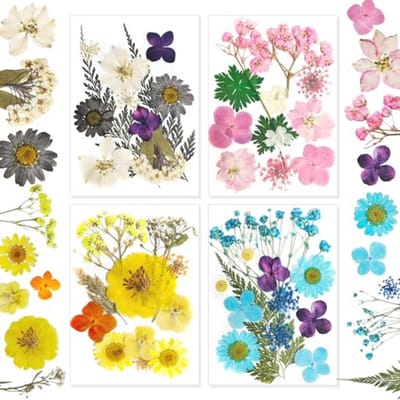 Gedroogde bloemen voor kaarsen en decoratie - geperste droogbloemen voor DIY projecten, nagels en scrapbooking