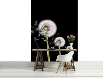 Dandelion Photo Wallcovering