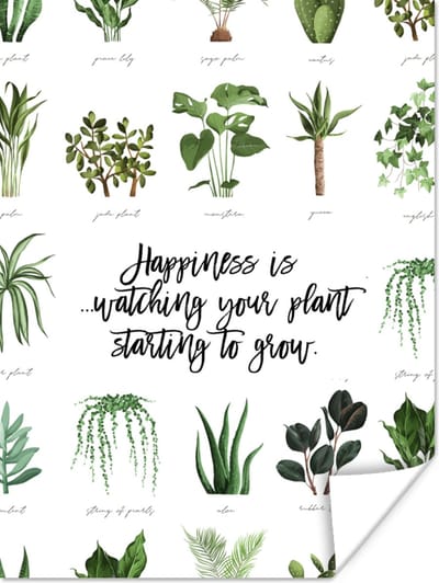 Poster Happiness is... watching your plant starting to grow - Spreuken - Quotes - 120x160 cm XXL