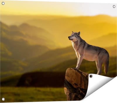 Gards Tuinposter Wolf op een Rots met een Heuvel Landschap - 80x60 cm - Tuindoek - Tuindecoratie - Wanddecoratie buiten - Tuinschilderij