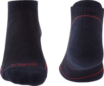 Bridgedale