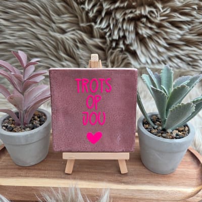 Robuust Wenstegeltje “Trots op Jou” – Lief Cadeautegeltje met Hartje – Trendy nu – Geslaagd – Vriend(in) – Familie – Gezin – Zomaar – Cadeau – Geslaagd – Decoratief Tegeltje met Standaard – Cadeau Idee