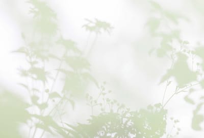 Fotobehang shadowroom3 DD122024 Livingwalls Walls by Patel 3 Groen Wit Vlies 270 x 400 cm (4 delen) Goedkoop fotobehang