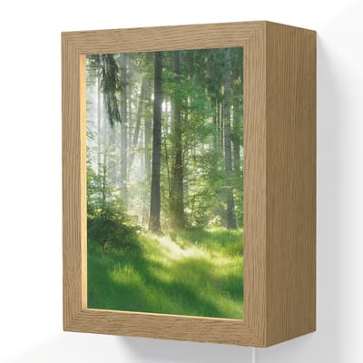 Wandlamp 15x20 cm - Oplaadbaar - Natuur - Bomen - Bos - Groen - Zon - Gras - Planten - Wandlampen binnen woonkamer - Slaapkamer lamp met kabel - Decoratieve nachtlamp - Vloerlamp snoer