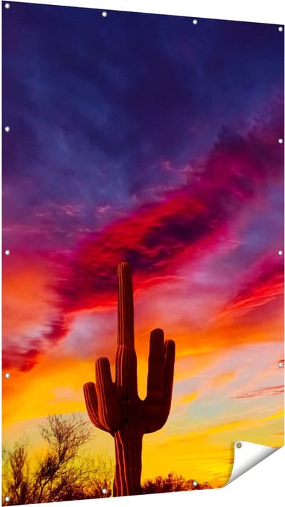 Gards Tuinposter Cactus bij Oranje Zonsondergang - 120x180 cm - Tuindoek - Tuindecoratie - Wanddecoratie buiten - Tuinschilderij