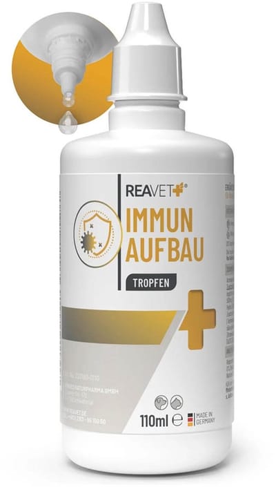 ReaVET - Immuun Opbouw druppels voor Honden & Katten - Natuurlijke immuunversterking voor huisdieren - Makkelijk doseerbare druppels - 110ml