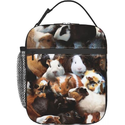 Cavia's Geïsoleerde Lunchtas voor Vrouwen Kantoor Koeltas Thermische Voedseldoos Tote Draagbare Lunchboxen Container One Size