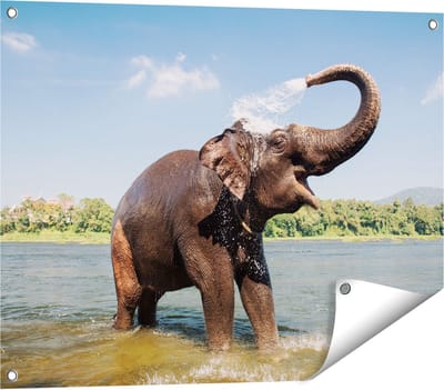 Gards Tuinposter Vrolijke Olifant in het Water - 80x60 cm - Tuindoek - Tuindecoratie - Wanddecoratie buiten - Tuinschilderij