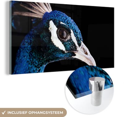 MuchoWow® Glasschilderij 40x20 cm - Schilderij acrylglas - Pauw - Dier - Blauw - Foto op glas - Schilderijen