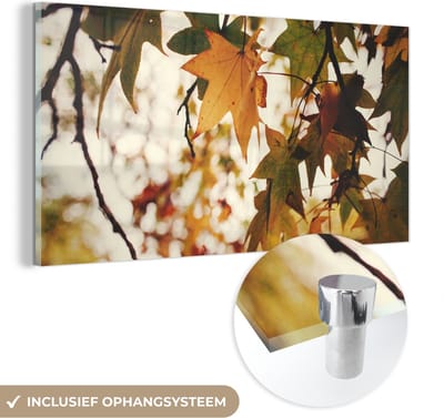 MuchoWow® Glasschilderij 40x20 cm - Schilderij acrylglas - Natuur - Herfstbladeren - Landelijk - Foto op glas - Schilderijen