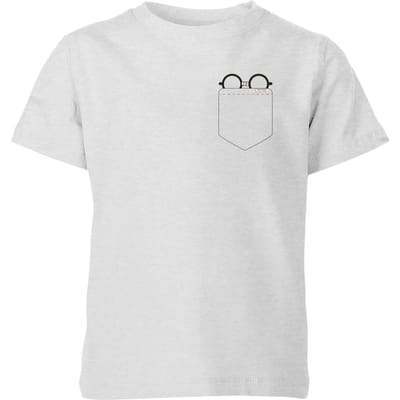 Harry Potter Harry Potter Pocket Glasses kinder t-shirt - Grijs - 98/104 (3-4 jaar)