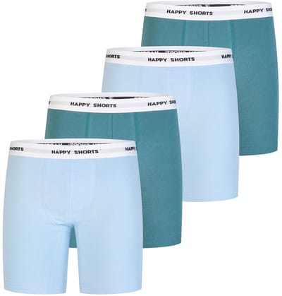 Happy Shorts Heren Boxershorts Met Lange Pijpen Boxer Briefs 4-Pack Lichtblauw/Groen - Maat L