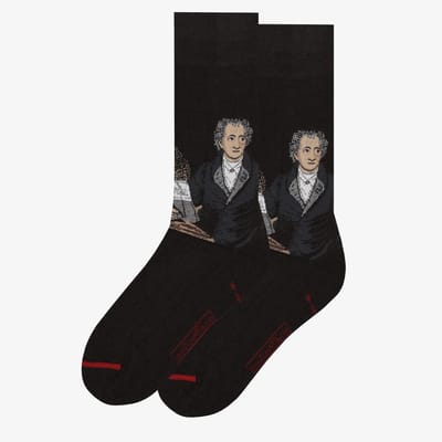 Joseph Karl Stieler - Johann Wolfgang von Goethe 36-40