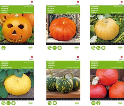 pompoenen zaden set van 6 soorten | Pompoenen Jack O'Lantern | Pompoen Gele Reuzen | Pompoen Rode van Etampes | Pompoen Asterix | Pompen Atlantic Giant | Pompoenen Uchiki Kuri