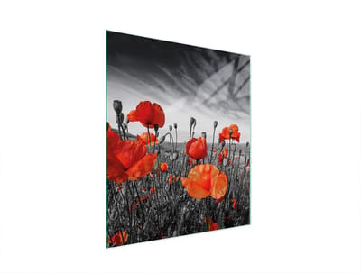 TMK ArtDeko - Snijplank Glas - 45x52 cm - Maki - Veelzijdige Bescherming