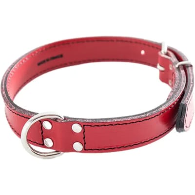 Hondenhalsband Sellerie Canine Vendéenne Surpiq