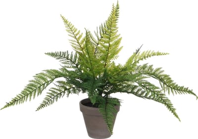 Mica Decorations Kunstplant - varen - groen - 36 x 40 cm