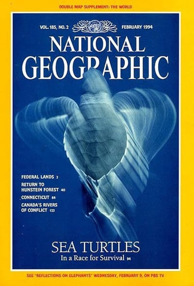 NATIONAL GEOGRAPHIC FEBRUARI 1994 EDITIE ENGELS TIJDSCHRIFT SEA TUTLES GLOBE MAP INCLUDED