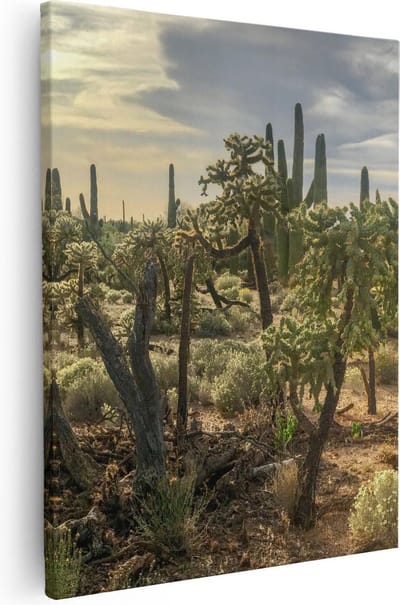 Artaza Canvas Schilderij Saguaro Woestijn - 40x50 cm - Wanddecoratie Landschap - Muurdecoratie Botanisch - Kamer Accessoires