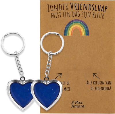 BFF Sleutelhanger voor 2 'Zonder Vriendschap mist een dag zijn kleur' - Medaillon verandert van kleur - Sleutelhanger set op Cadeau Kaartje - Zilverkleurig - Vriendschap Symbool - Pax Amare
