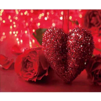5D DIY diamant schilderij kruissteek volledige ronde boor rode roos liefde diamant borduurwerk 20X30CM red
