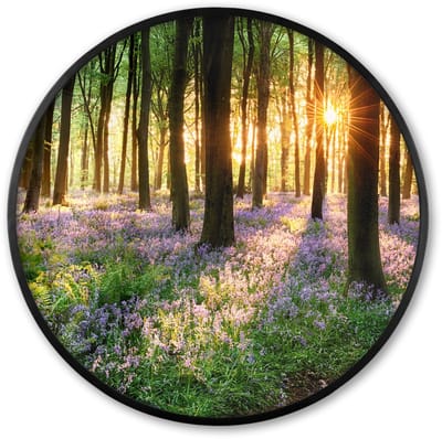 Poster in lijst Rond - Fotolijst 60x60 cm - Posters - Bos - Bloemen - Lavendel - Zon - Paars - Natuur - Ronde posterlijst zwart - Decoratie - Wanddecoratie woonkamer - Muurdecoratie slaapkamer
