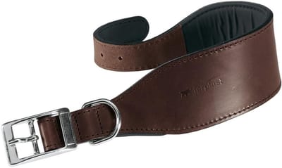 Robuuste Hondenhalsband voor Windhonden - Zacht Gevoerd en Duurzaam - A: 26-32 cm, B: 15 mm - Bruin