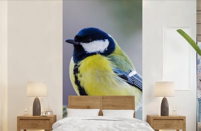 Behang - Fotobehang Koolmees - Vogel - Tak - Breedte 120 cm x hoogte 240 cm