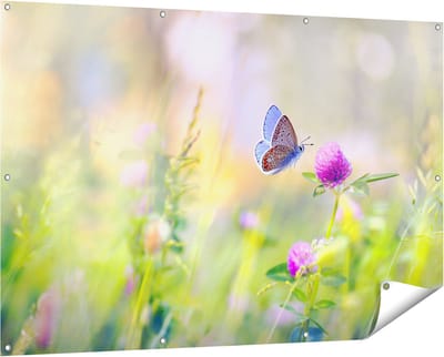 Gards Tuinposter Blauwe Vlinder bij een Paarse Bloem - 150x100 cm - Tuindoek - Tuindecoratie - Wanddecoratie buiten - Tuinschilderij