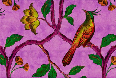 Fotobehang birdOfParadis2 DD113842 Livingwalls Walls by Patel | 3D Fotobehang op maat