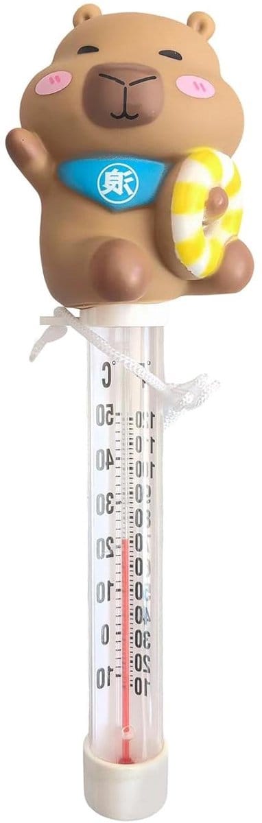 Watermeter Zwembad - Temperatuurmeter Spa - Waterkwaliteit Meten - Duidelijk Afleesbaar - 23 Centimeter - Meerkleurig