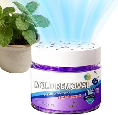 Luchtreiniger Geurverwijderaar - Compacte Reiniger - Frisse Lucht Creëren - Passieve Reiniging - 100g - Wit