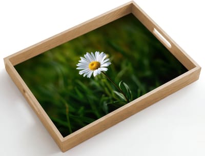 Dienblad hout 50x35 cm - Schootdienblad - Wit - Madeliefje - Bloem - Gras - Borrelplank rechthoek - Plateau dienbladen
