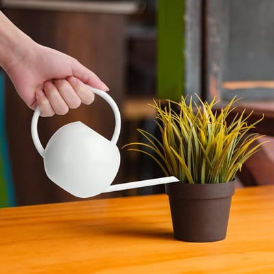 400 ml Witte Gieter Kleine Binnenplanten, Mini Gieter Metalen Lange Tuit Gieter Kleine Binnenplanten voor Binnenhuis Succulenten