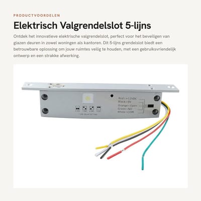 Dailygoods - Elektrisch Valgrendelslot - 5-lijns Grendelslot - Storingsvrij en Veilig - Metaal - Geschikt voor Glazen Deuren - Beveiliging voor Huizen...