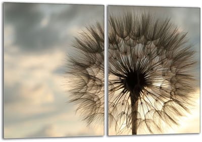 TMK ArtDeko Serie - Glazen Beschermplaat - 40x52cm - Uitstraling Kwiat - Veiligheidsglas
