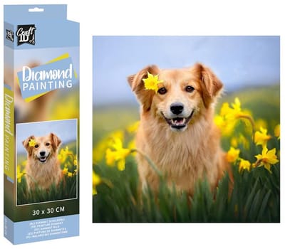 Craft ID Diamond Painting hond 30x30cm
