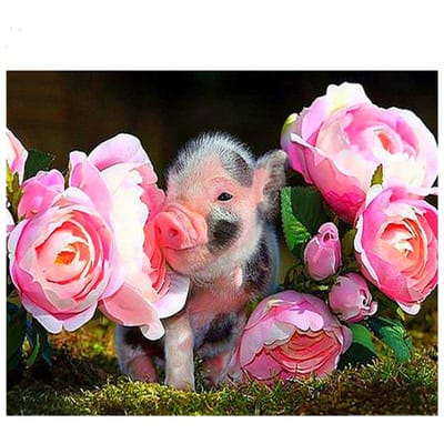 5D Diy Diamant Borduren Varkens Bloemen Schilderen Steentjes Diamant Schilderen Kruissteek 20X30CM pink