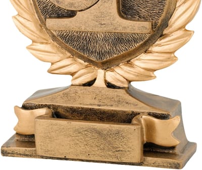 Trofee Nummer 1 Goud 14 cm Eerste Prijs Vis Wedstrijd Viswedstrijd Prijzen Vissen