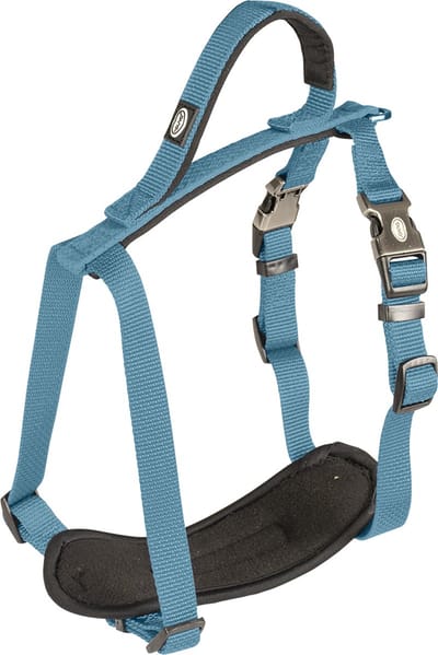 Duvoplus - Hondentuigje - Hond - Explor North Harnas Nylon Xl 65-80cm/25mm Petrol - 1st