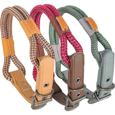 Verstelbare hondenhalsband Zolux Imao Hydepark 6mm