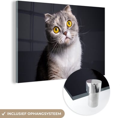 MuchoWow® Glasschilderij 150x100 cm - Schilderij acrylglas - Kat - Ogen - Licht - Foto op glas - Schilderijen