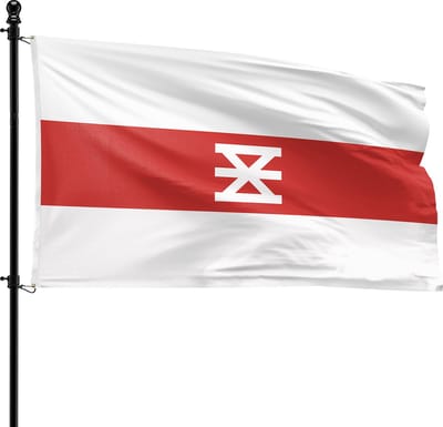 VlagDirect - Enschede vlag - Gemeente Enschede vlag - 90 x 150 cm.