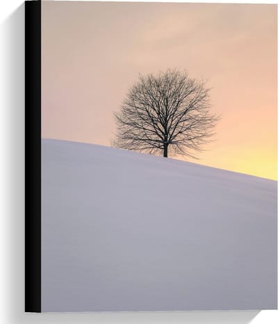 Canvas  - Boom achter een Berg Sneeuw  - 30x40cm Foto op Canvas Schilderij (Wanddecoratie op Canvas)