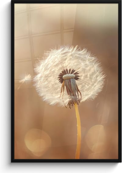 Poster in lijst - Fotolijst 80x120 cm - Posters - Paardenbloem - Beige - Natuur - Bloem - Posterlijst zwart - Decoratie - Wanddecoratie woonkamer - Muurdecoratie slaapkamer