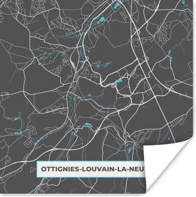 Poster Stadskaart – Grijs - Kaart – Ottignies Louvain la Neuve – België – Plattegrond - 100x100 cm XXL